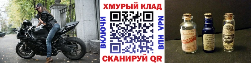 ГЕРОИН хмурый  Великий Новгород 