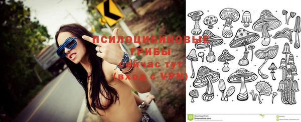 бутират Медногорск