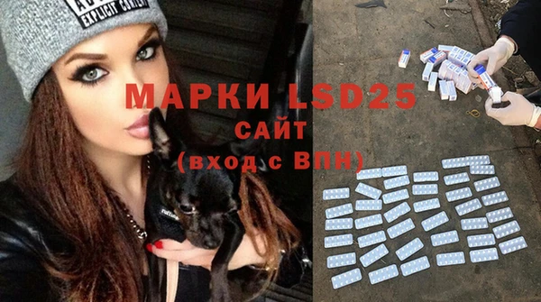 спиды Мегион